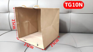 TG10N1
