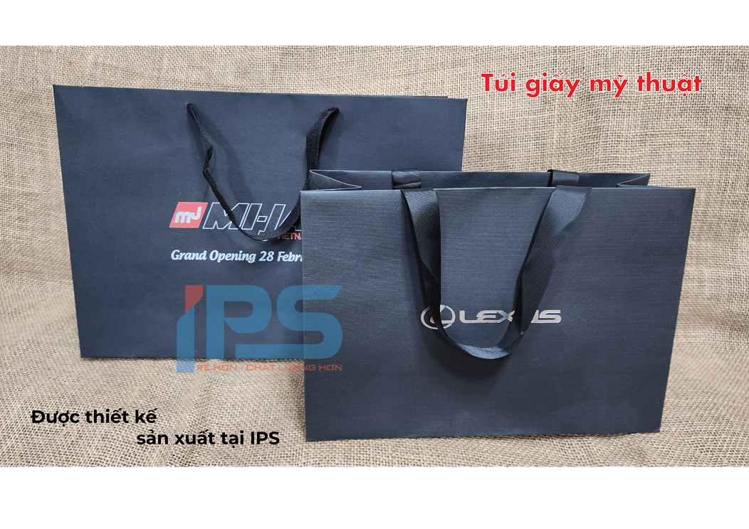 tui giay ips8
