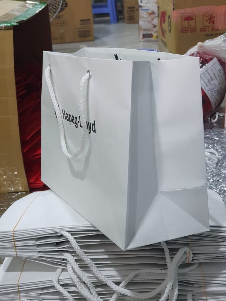 in tui giay 17052226 1