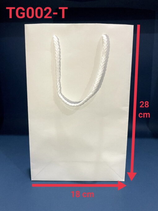 Túi giấy có sẵn TG002-T