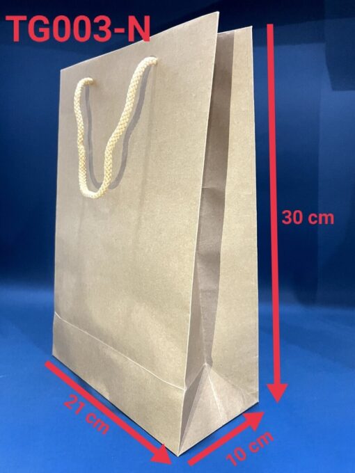 Túi giấy có sẵn TG003-N