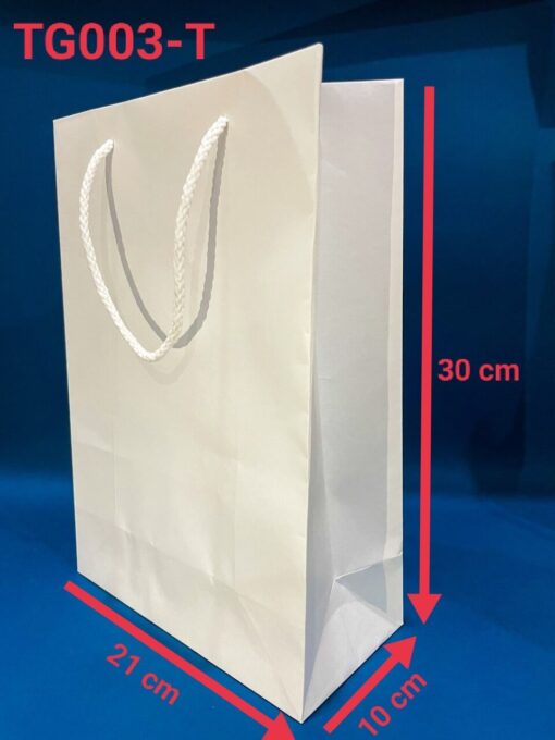 Túi giấy có sẵn TG003-T