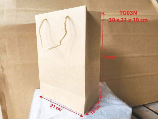 Túi giấy TG03N