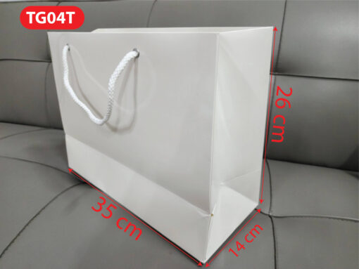 Túi giấy TG04T - Túi giấy trơn không in