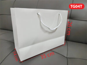 TG04T2