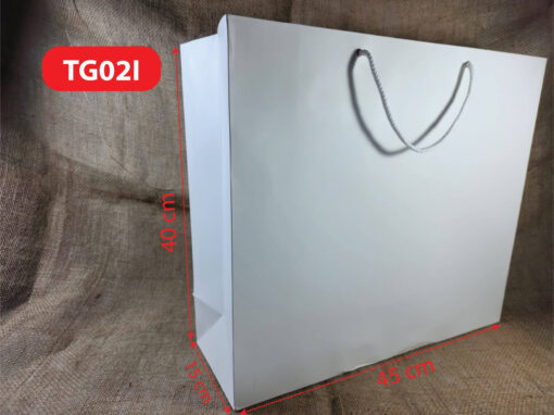 Túi giấy TG02I - Túi giấy to, túi giấy trơn