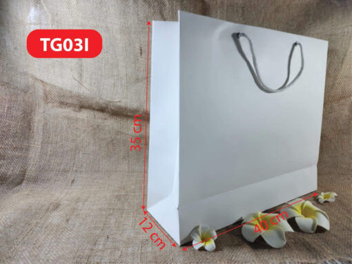 Túi giấy TG03I - Túi giấy to, túi giấy trơn