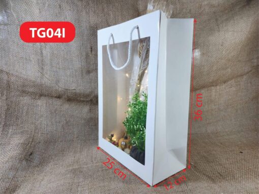 Túi giấy TG04I - Túi giấy giá sỉ