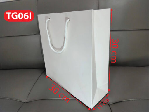 Túi giấy TG06I - Túi giấy to, túi giấy trơn