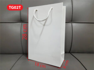 tui giay tg02t3