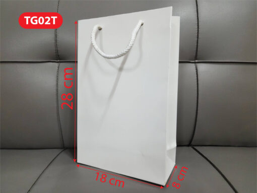 Túi giấy TG02T