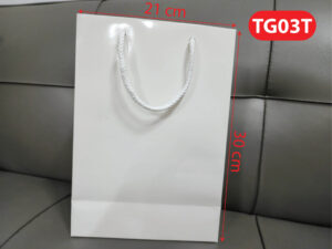 tui giay tg03t1