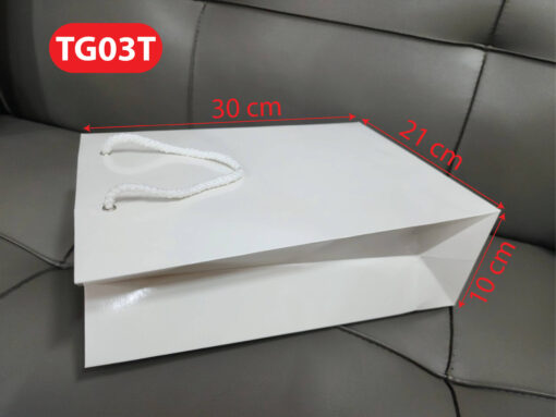 Túi giấy TG03T - Túi giấy giá sỉ