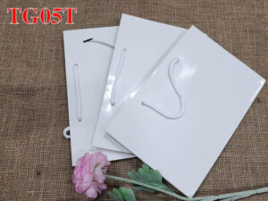 TG05T1