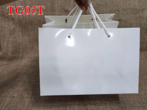 TG05T4