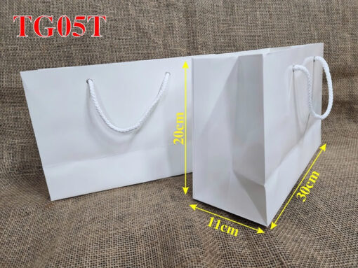 Túi giấy TG05T - Túi giấy có sẵn
