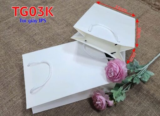Túi giấy TG03K - Túi giấy siêu chống nước