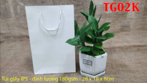 tui giay tg02k2