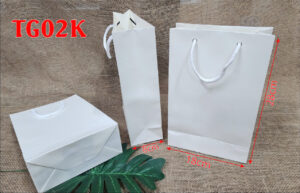 tui giay tg02k3
