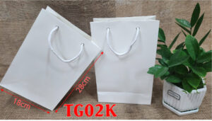 tui giay tg02k4