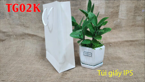 Túi giấy TG02K - Túi giấy chợ lớn
