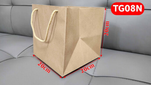 Túi giấy TG08N - Túi giấy vuông trung