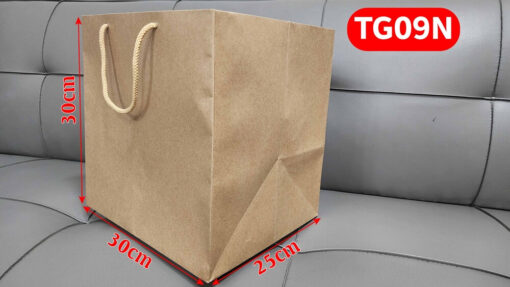 Túi giấy TG09N - Túi giấy vuông lớn